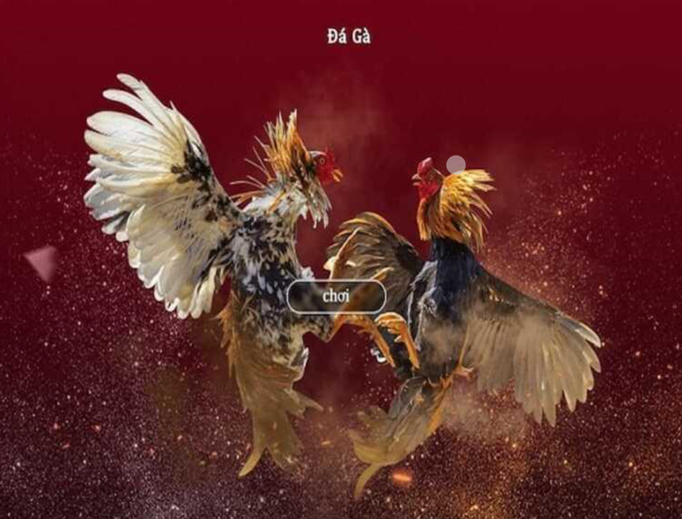 Người chơi có thể lựa chọn nhiều hình thức đá gà khác nhau
